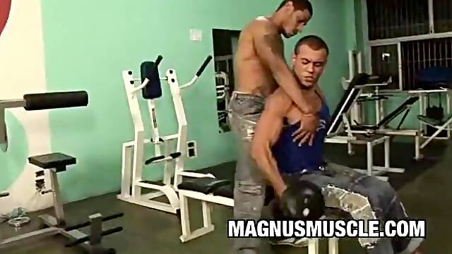 Two Muscle Bound Freaks Having Sex Inside The Gym