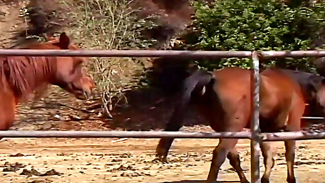 65876 Immature Encounters 05 F 006