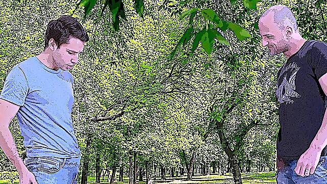 You try to relax at the park and ants ruin your life