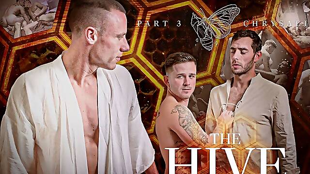 Discover the Transformation in The Hive: Chrysalis with Justin Matthews, Carter Woods, and Andrew Delta