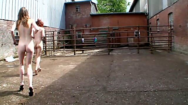 Zucht Und Ordnung (GANZER FILM)