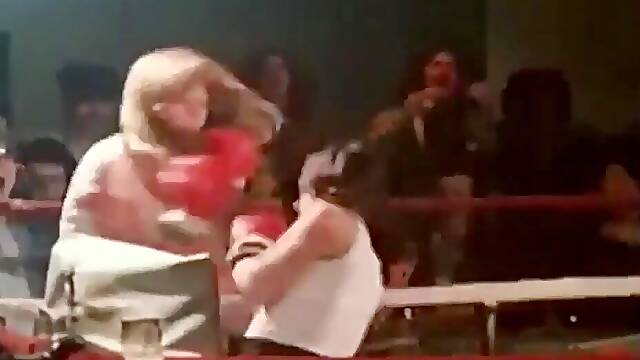 Cat Davis and topless boxing in same ring