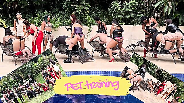 Pet training FULL VIDEO