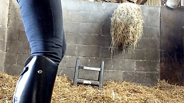 JOI & Ass Worship In The Stable