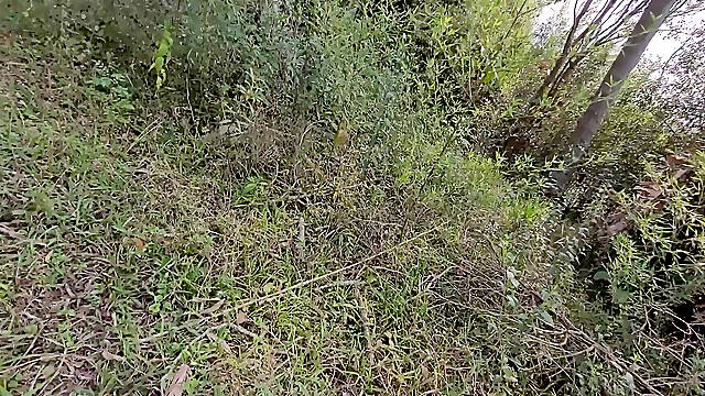 I Had Sex with the Caretaker's Stepson in the Woods of My Farm.