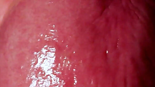 Goddess Anya Queen’s POV View Extreme Oral & Wet Asmr