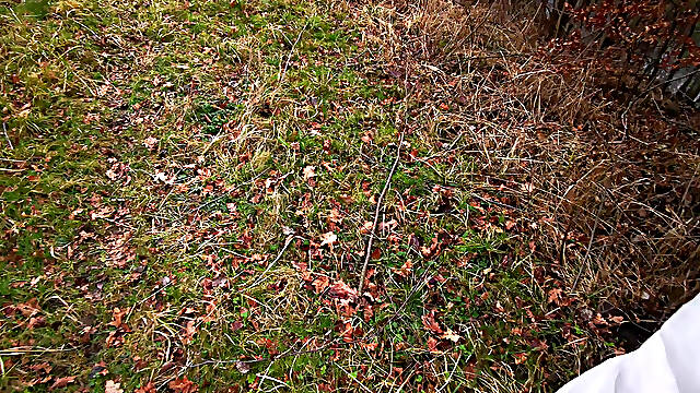 Tits Slap in Autumn